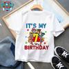 Wild Kratts Cartoon T-Shirt Anime-Druck Neues Baumwoll-T-Shirt Kinder Spaß-Top Abenteuer-Cartoon-Tees Coole Jungen Kurzarm-Kleidung