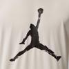Jordan Men's Knit Crewneck T-Shirt IQ7267-104