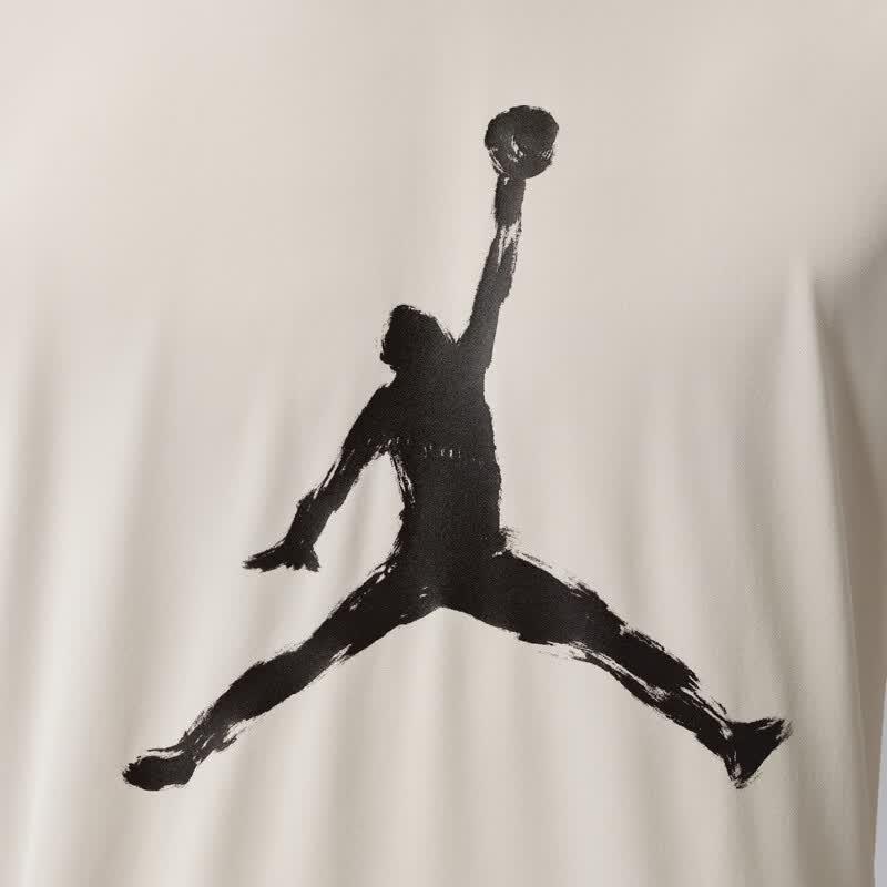 Jordan Men's Knit Crewneck T-Shirt IQ7267-104