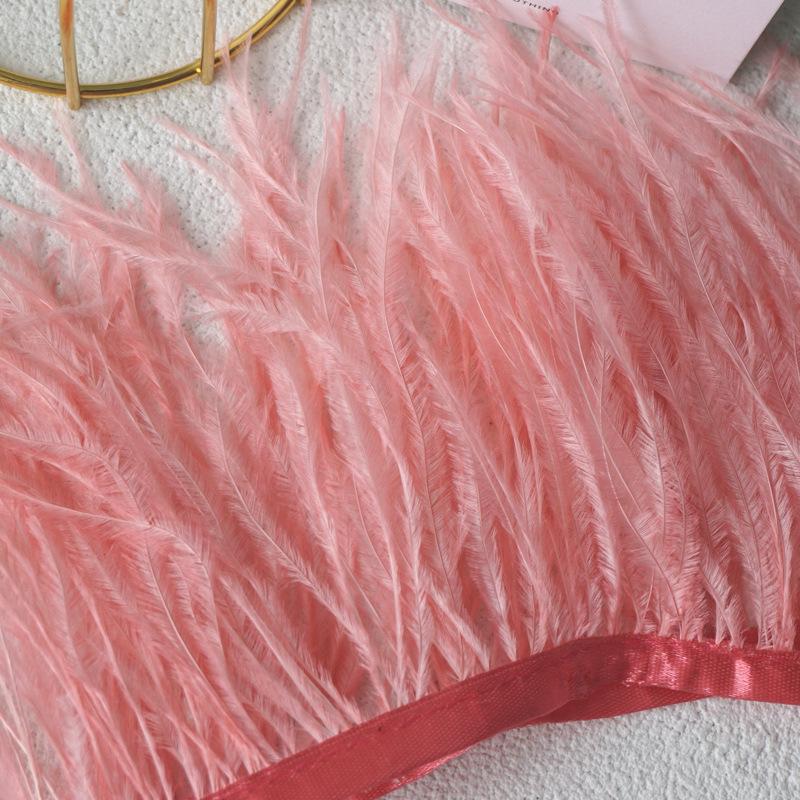 Feather Cloth Strip 10-15Cm Ostrich Hair Cloth Edge Dress Latin Dance Dress Skirt Decoration Clothing Accessories Lace