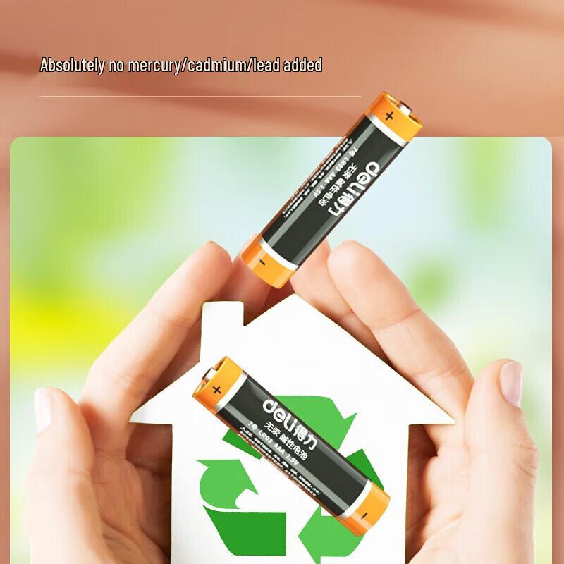 Deli Alkaline AAA Battery CN plug (adapter included)