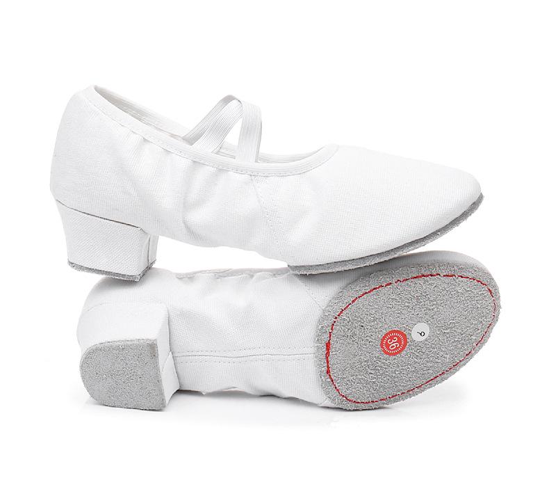 Damen Tanzschuhe ohne Schnürsenkel mit Absatz - Weiche Sohle für Ballett, Yoga, Bauchtanz, Erwachsene, Lehrer und zum Üben.