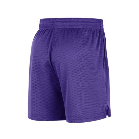 Nike Los Angeles Lakers Basketball Shorts Men's All over Purple DX9700-504