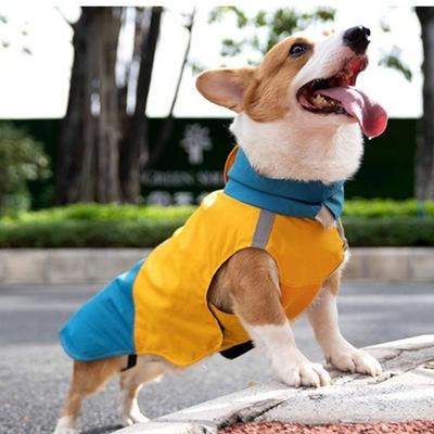 Giyim ve ayakkabı – Köpek Yağmurlukları