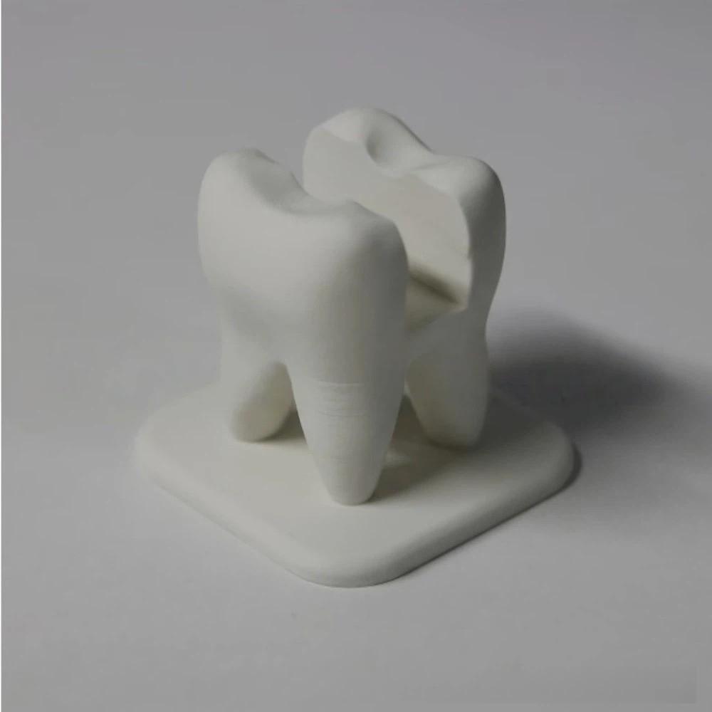 3D Printed Dentist Business Card Holder Dental Clinic Name Card Display Organizer  Workbench Use