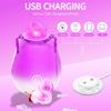 Adult 10-Speed Clitoral Suction Masturbator Jumping Effect Rechargeable Waterproof Silicone Rose Vibrator for Breast Stimulator