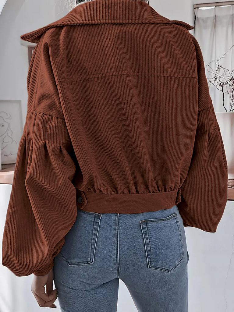 Ins Style Autumn Velvet Long Sleeve Cardigan Jacket for Women