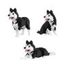 Building Block Animal Models Set Realistic Cat and Dog Figures Educational Puzzle Toy for Kids and Adults Creative Construction Kit