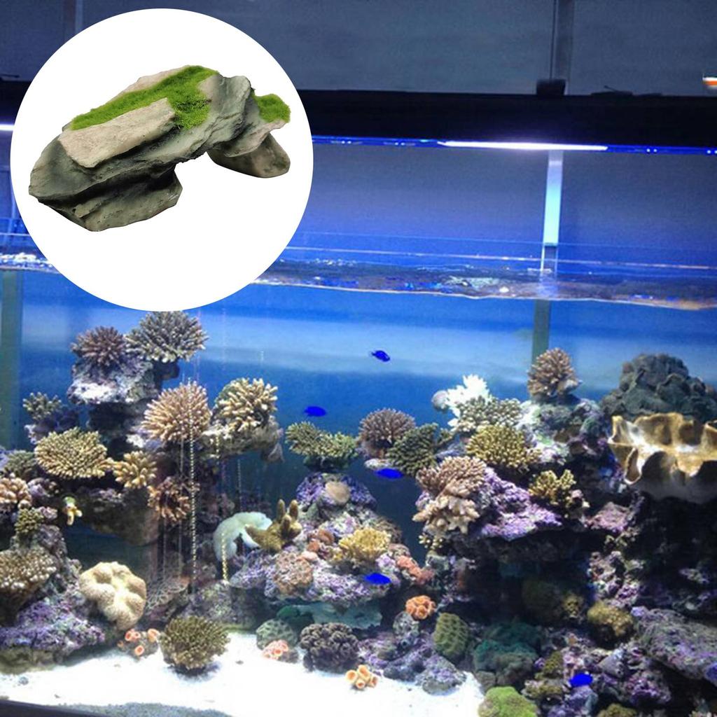 Tortoise Reptile Hiding Cave Fish Aquarium Decoration Durable Hideouts House