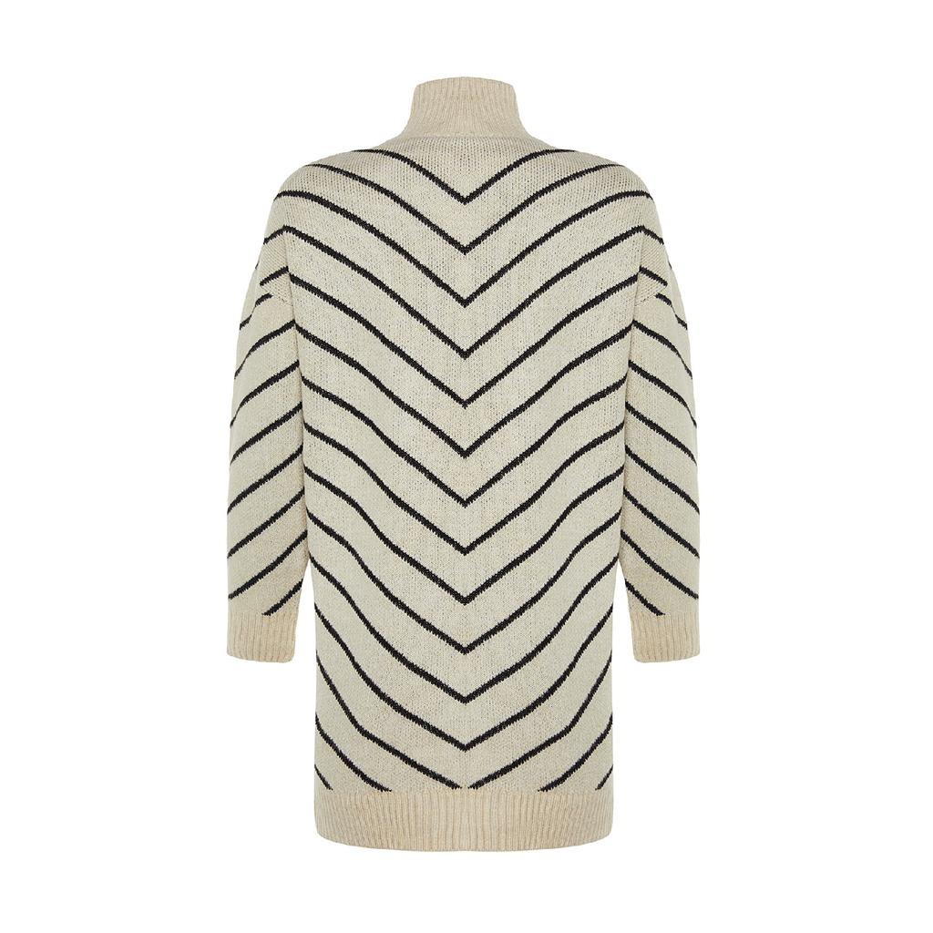 Stein Gestreifter Rollkragen Strickwaren Pullover Tctaw24ak00101