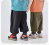 Dudu Home Baby Coral Fleece Cartoon Sports Pants - Trendy Spring Wear for Boys and Girls