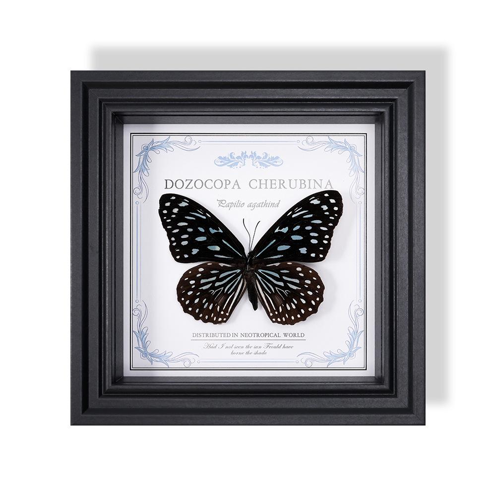 Wall-Mounted Butterfly Specimen Photo Frame: Home Decor & Gift for Valentine's Day, Qixi, Birthday, Couples & Insect Lovers