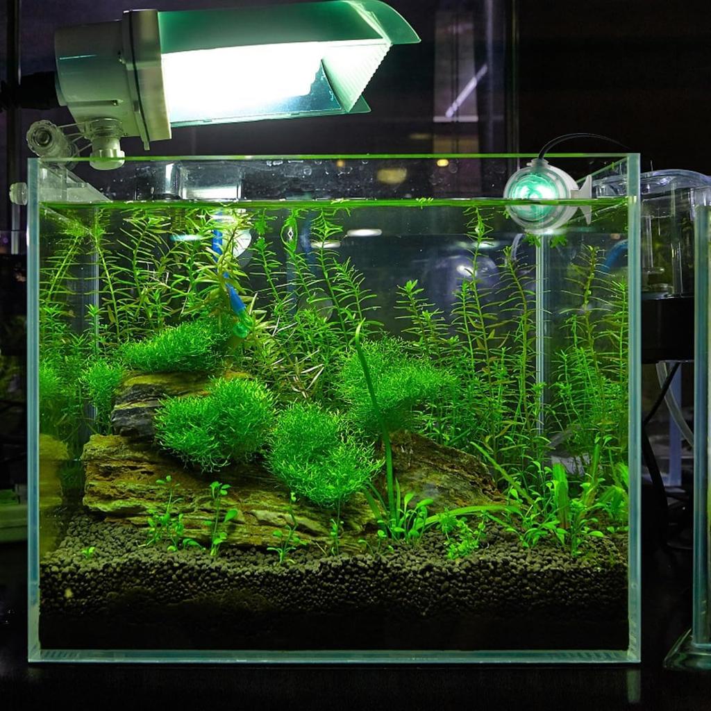 Underwater Led Fish Tank Lamp with Suction Cup Submersible Aquarium Light for Aquatic Plants and Fish Us Plug for Freshwater and Lighting