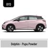 BYD Qin Car Touch-Up Paint Pen - Vehicle-Specific, Waterproof, Anti-Abrasion, Seal, Seagull, Destroyer, Frigate-Compatible.