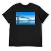 Astoria Megler Bridge to Washington Koszulki gładkie bluzy chłopięce nadruk zwierzęcy gładkie koszulki męskie