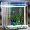 Transparent Fish Tank Multifunctional Ecological Thickened Desktop Tortoise Tank for Living Room
