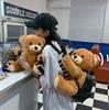 Bear Plush Backpack With Large Storage For School And Travel Special Characters Included