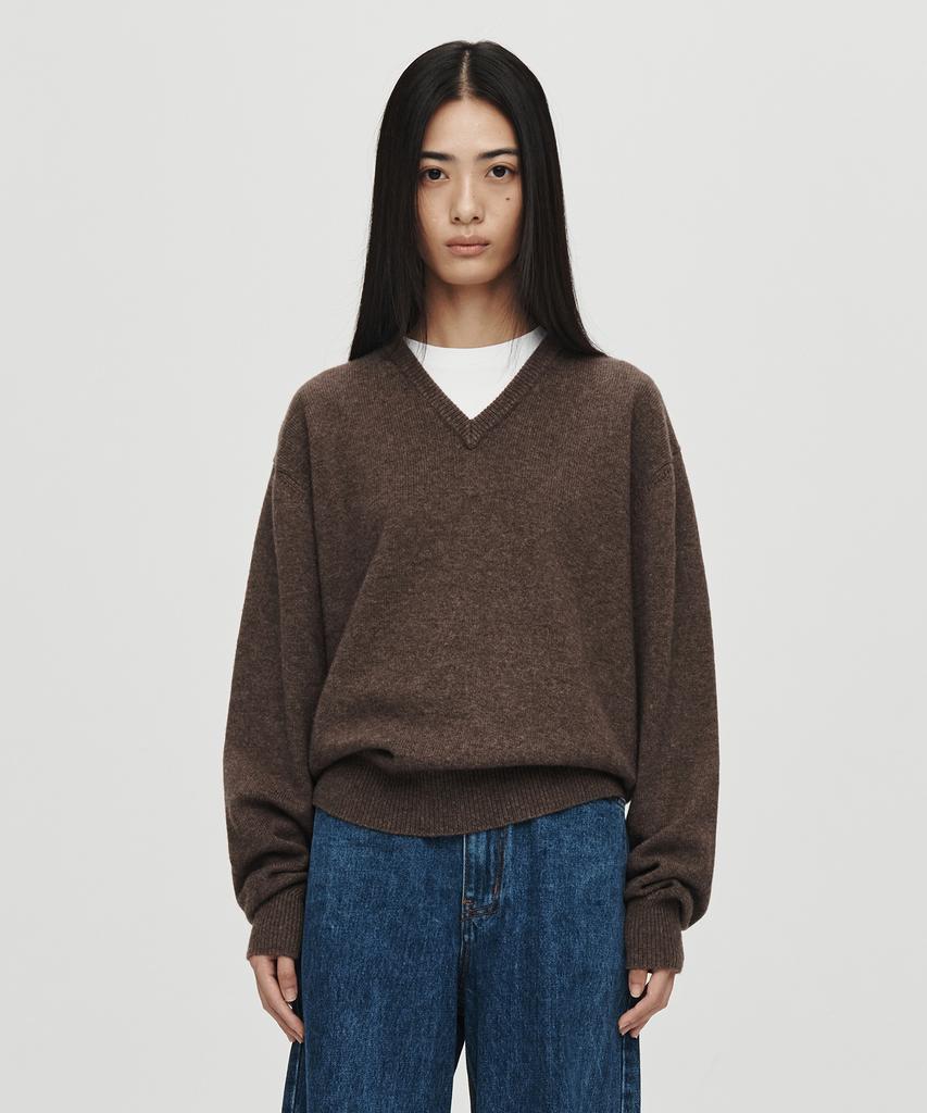Hoite Cashmere Wool V Neck Knit (Brown)