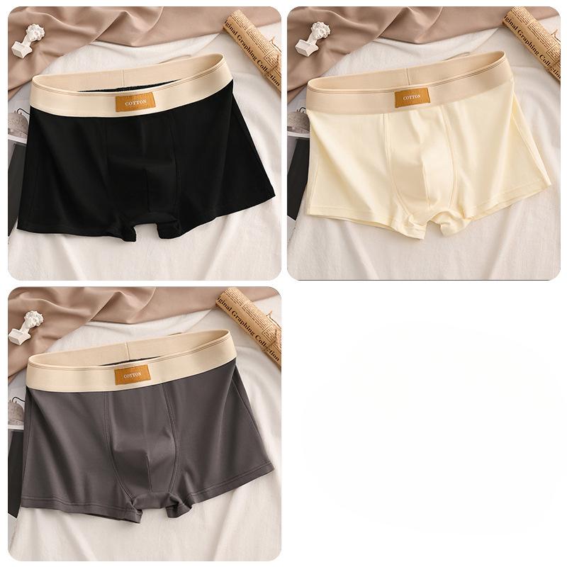 Luxury Men Underpants Man Cotton Breathable Comfortable Boxer Selling Shorts Men's Panties Plus Size Panties Underwear Gift