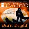 Burn Bright by Patricia Briggs Paperback Book 9780356506005