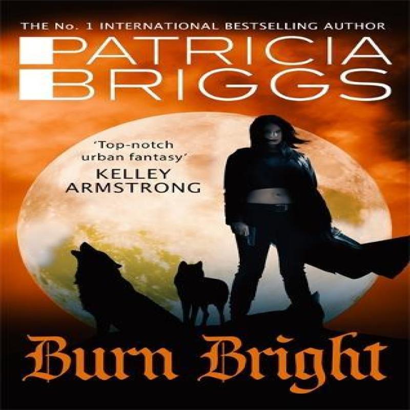 Burn Bright by Patricia Briggs Paperback Book 9780356506005
