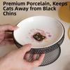Non-Slip Elevated Pet Bowl No Spill with Stand Dog Water Bowl Large Capacity Cat Feeding Station Wet And Dry Food