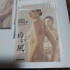 [USED] Shogo Takatsuka Art Book “Asaki Yumemishi” Art Book & 2003 Calendar “White Wind”