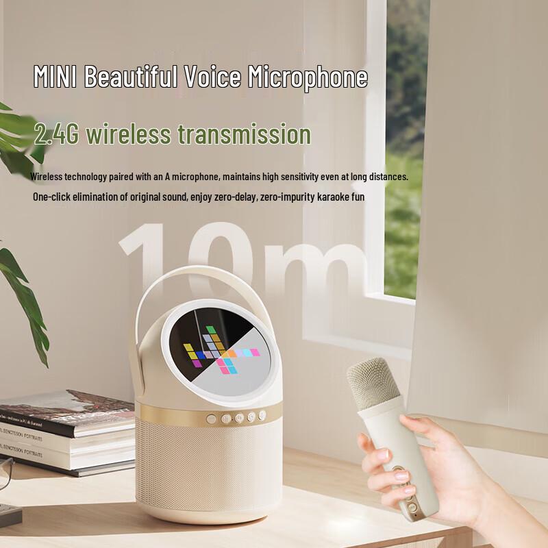 

Philips TAS2508 All-in-One KTV Speaker System CN plug (adapter included)
