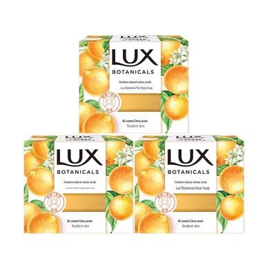 Lux Botanical Zitrusduft Reinigende Seife