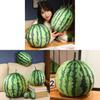 3d Plush Watermelon Toy Fruit Stuffed Doll Cartoon Bedroom Decoration Gift Kids