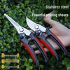 Stainless Steel Pruning Shears for Thick Branches and Fruit Picking