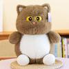 Plush Stuffed Cat Toys Animal Dolls Couple Room Decoration Kids Gifts Festival