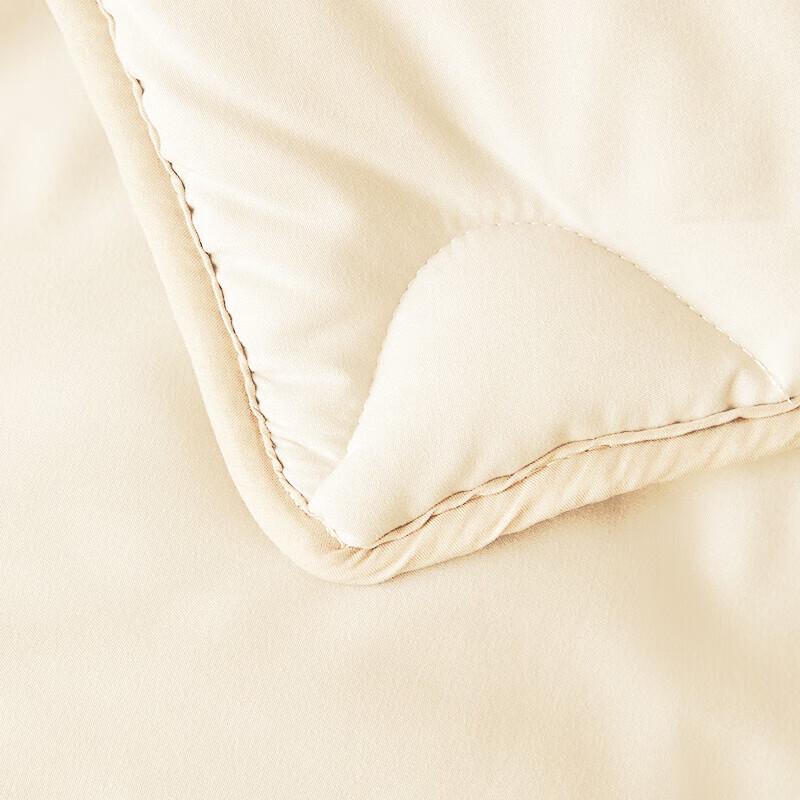 Royal Bedding Super Soft Washable Fiber Quilt