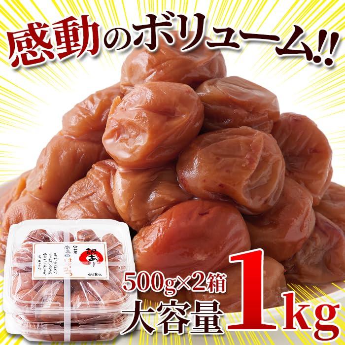 Natural Life Kishu Honig Umeboshi (1 kg) Spezialqualität Große Kapazität Premium Salzgehalt 8 Weiches Saftiges Pflaumfleisch Fruchtig Vollreif Wakayama Größe