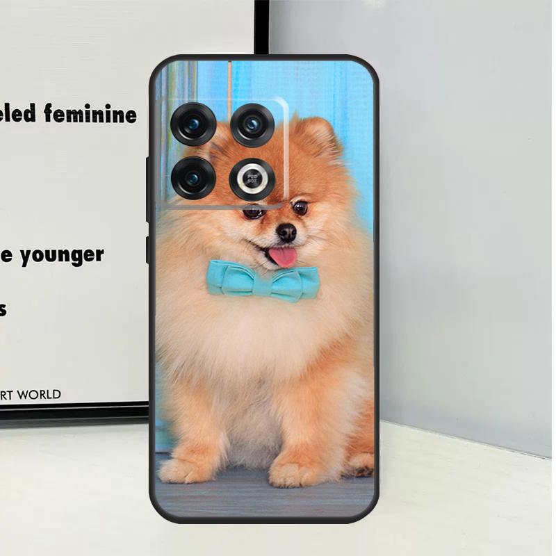 Pomeranian Dogs Dog Colorful For OnePlus Nord CE 5 2 3 4 Lite N20 N30 Case For OnePlus 15 13 12 11 10 Pro 10T 12R 13R 13T