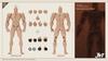 Toys & Hobbies [TOYBARJAPAN] 1/12 Scale Action Figure JET STUDIO TS-MB-002 Male Muscle Body