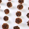 20Pcs Artificial Pine Cone Attractive for Garden Convenient Decorative DIY Simulation Pinecone Novel Vivid Natural