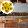 10/20/50/100Pcs Numbered Sign Labels Beehive Tags Garden Box Mark With Hole Plant Markers Bee Hive Mating Box Mark Garden Tools