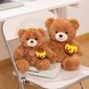 Adorable Plush Teddy Bear Doll & Pillow Gift Ornament