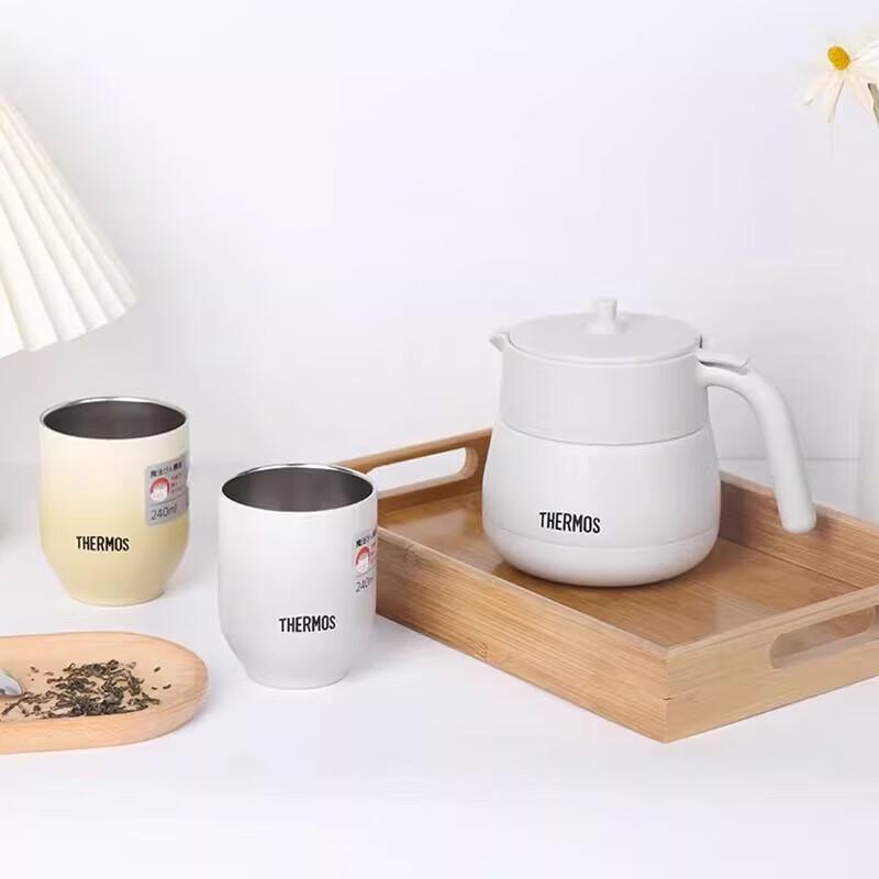 THERMOS TCHC-580 Magnetic Tea Infuser Bottle