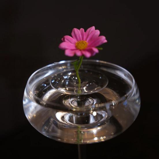 Floating Flower Stem Holder Clear Floating Floral Arrangement Holder Dynamic Rotation