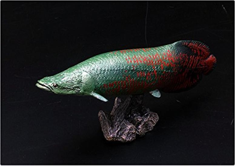 Pirarucu Soft Model (FF-002)