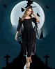 Women's Medieval Lace Hooded Renaissance Dress
