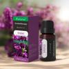 Grenzüberschreitender Aroma-Diffusor für ätherische Öle für Massage & Aromatherapie