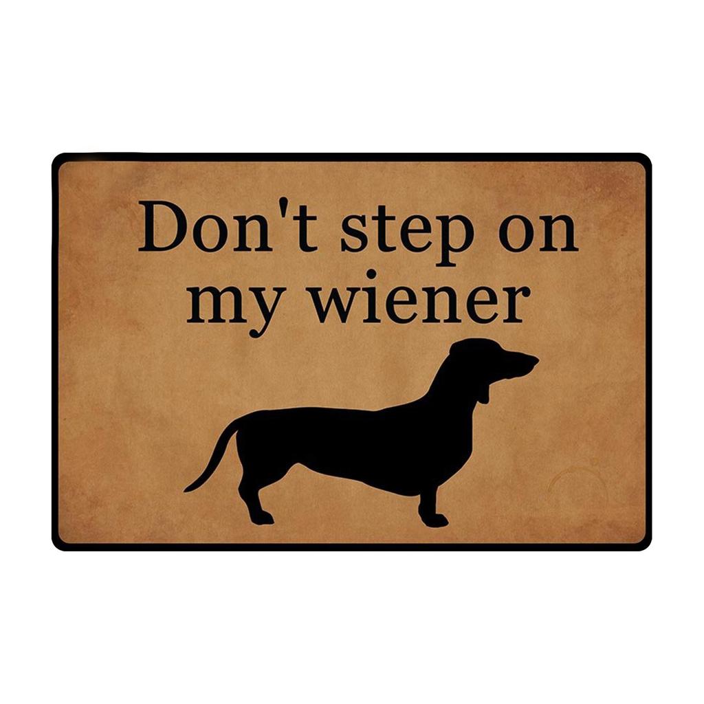 Non- Door Mat, Indoor And Outdoor Carpet, Home Welcome Mat