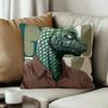 Anime Beastars Lucky Dragon pillow cover sofa cushion cover home room decoration children gift