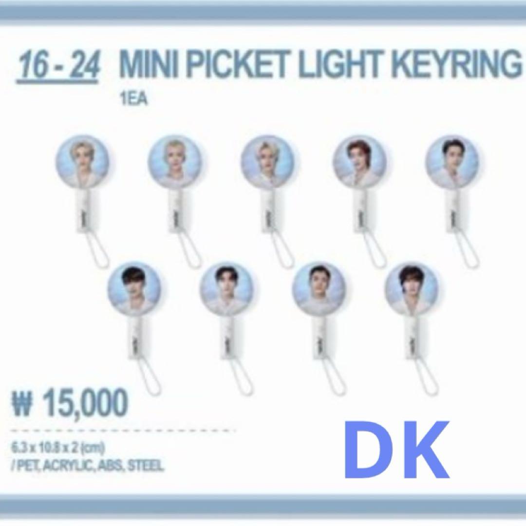 

[USED] SEVENTEEN Incheon MD Mini Image Picket Key Ring DK