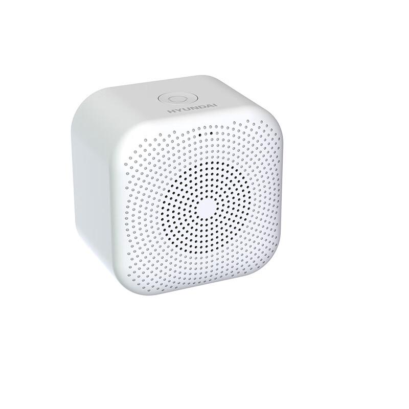 HYUNDAI YH-F006 Smart AI Tragbarer Bluetooth-Lautsprecher