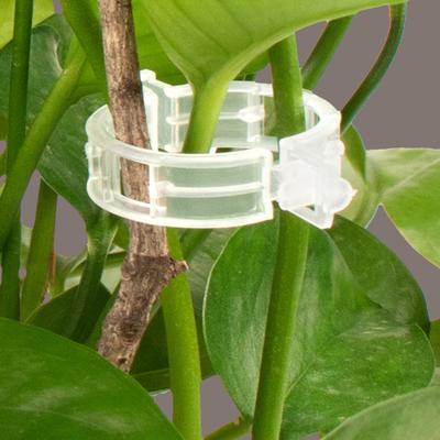 100/200/300Pcs Plant Support Clips Plastic Green Pepper Plant Garden Clip White Eggplant Fixer Tomato