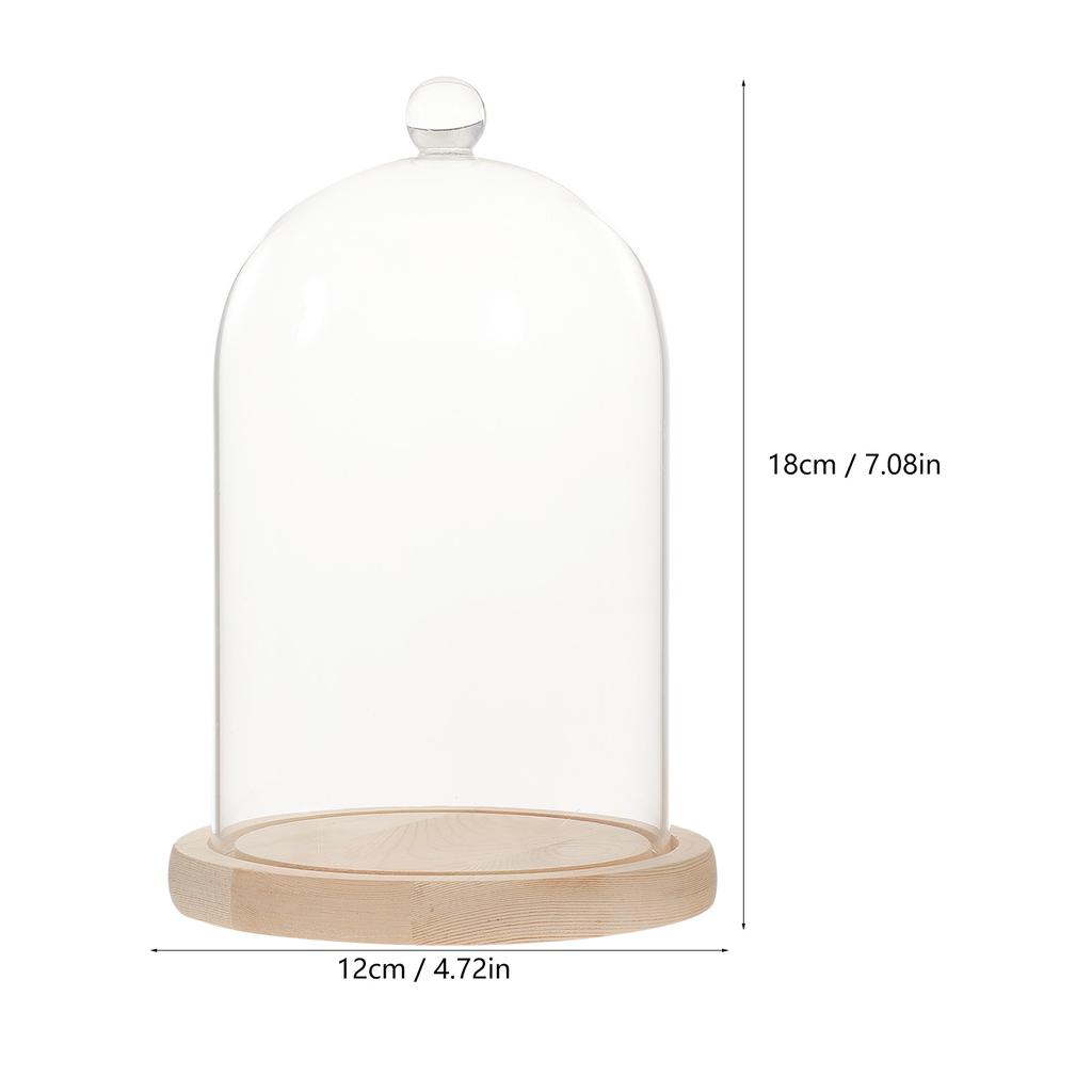 Tischdeko Trockenblumen Glasglocke Vase Klar Ornamente Holz Konserviert